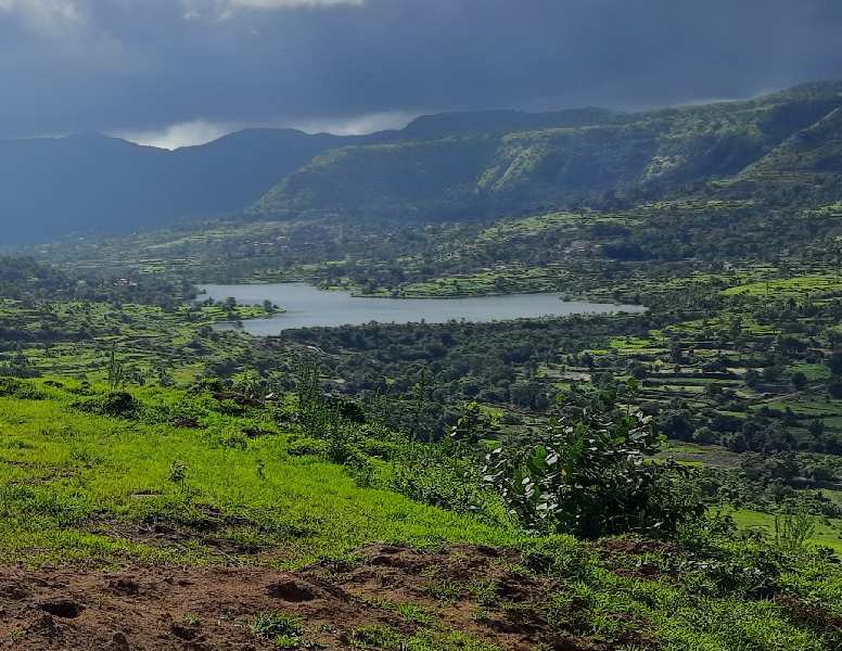 11000 Sq.ft. Agricultural/Farm Land for Sale in Hinjewadi, Pune