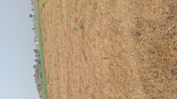 50 Bigha Agricultural/Farm Land for Sale in Alwar Mega Highways, Alwar