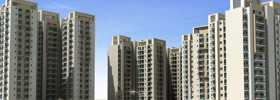 1126 Sq.ft. Penthouse for Rent in UIT Sectors, Bhiwadi