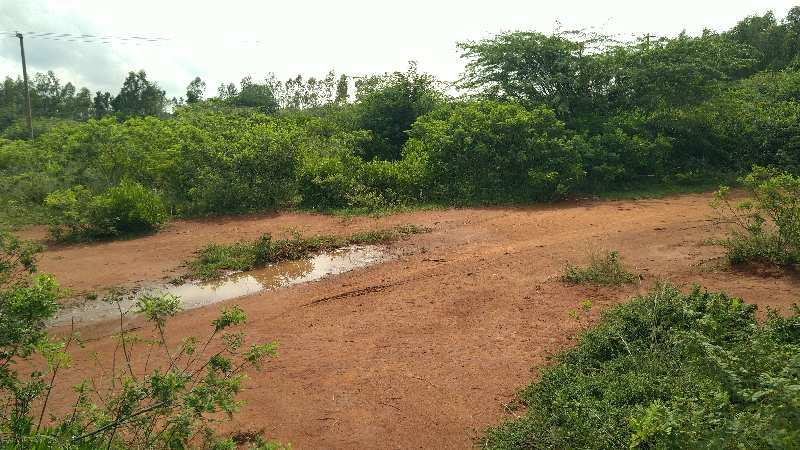 AGRICULTURE LAND RED SOIL LOW PRICE