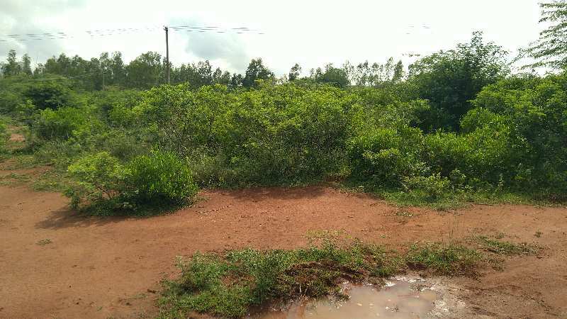 AGRICULTURE LAND RED SOIL LOW PRICE