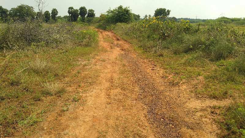 AGRICULTURE LAND SALE IN THANJAVUR