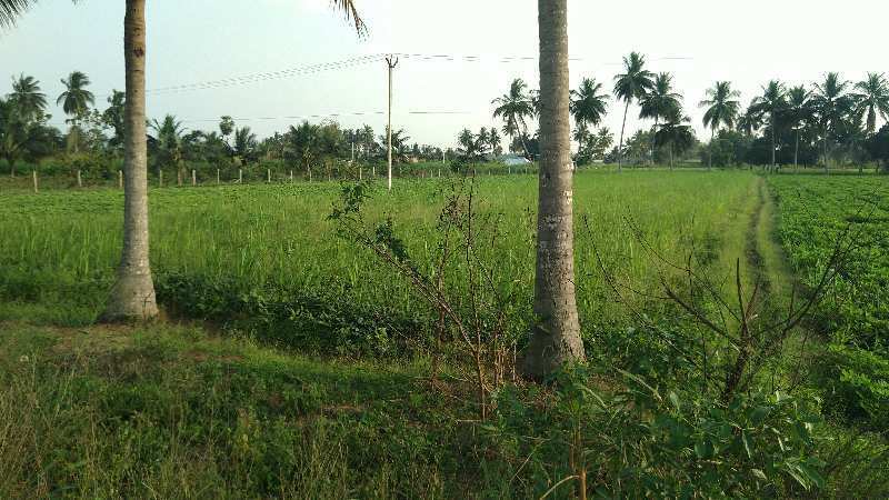 AGRICULTURE LAND SALE THANJAVUR IN MARUGULAM