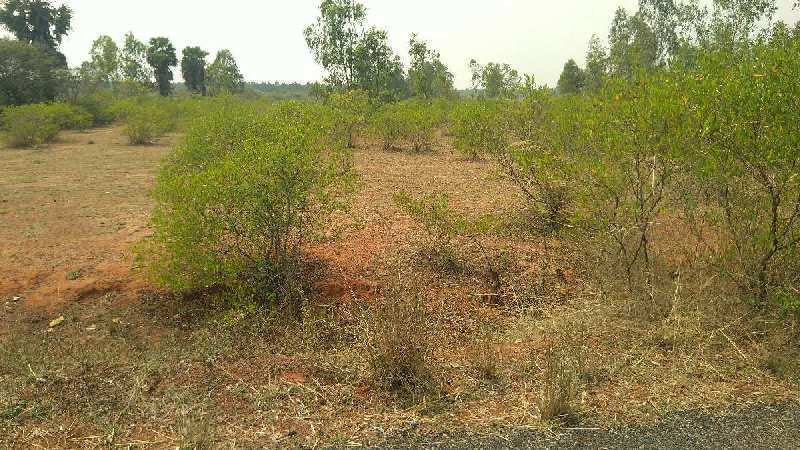 AGRICULTURE RED SOIL SALE THANJAVUR