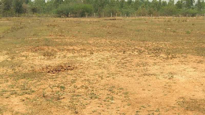 AGRICULTURE RED SOIL LAND SALE PUDUKOTTAI IN KEERANUR