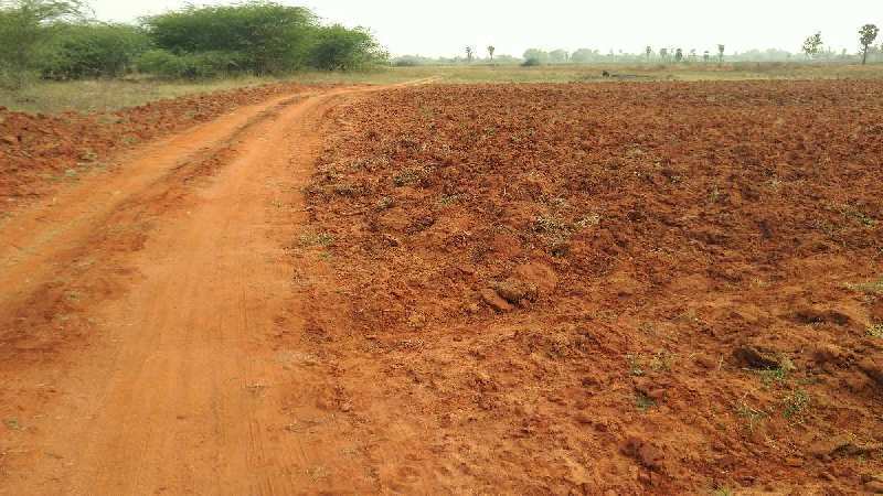 AGRICULTURE RED SOIL SALE THANJAVUR IN PUDUKUDI