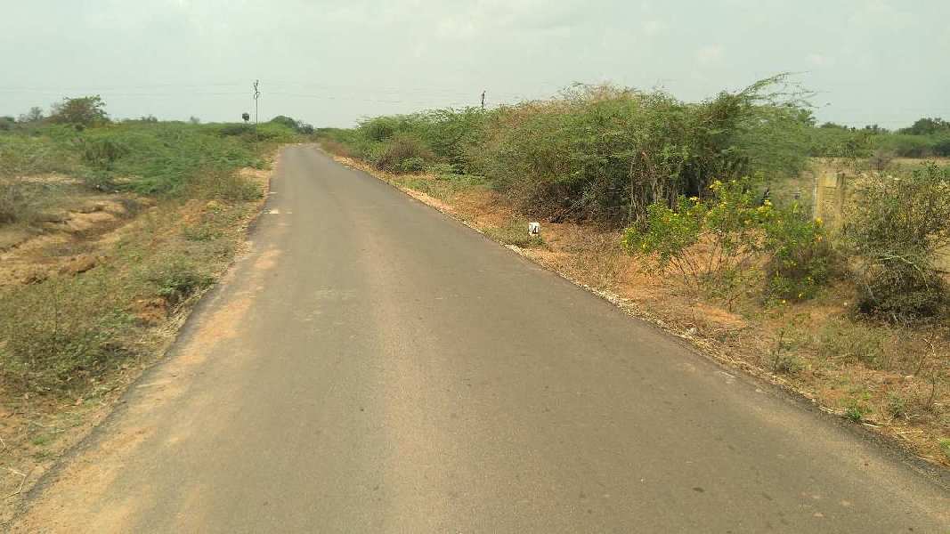 COCONUT TREES WITH AGRICULTURE LAND SALE TRICHY IN ASSUR