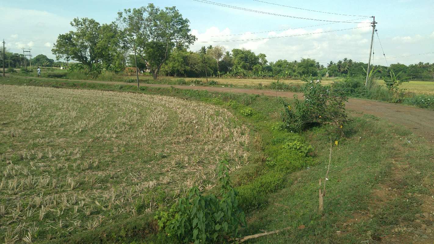 AGRICULTURE LAND SALE THANJAVUR NEW BYPASS VGENNAI ROUTE