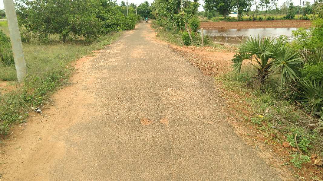RED SOIL AGRICULTURE LAND SALE THANJAVUR IN SURYAIPATTI