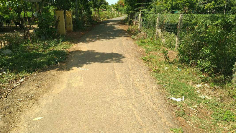 AGRICULTURE LAND SALE THANJAVUR IN PAPANASAM