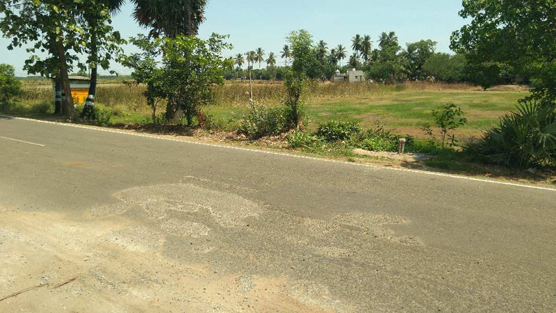 COMMERCIAL ARE AGRICULTURE PURPOSE LAND SALE THANJAVUR THIRUVAIYARU