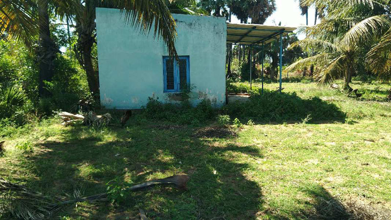 AGRICULTURE PUNJAI LAND SALE ECR IN CHUNAMBEDU