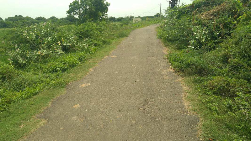 AGRICULTURE NANJAI LAND SALE IN THANJAVUR