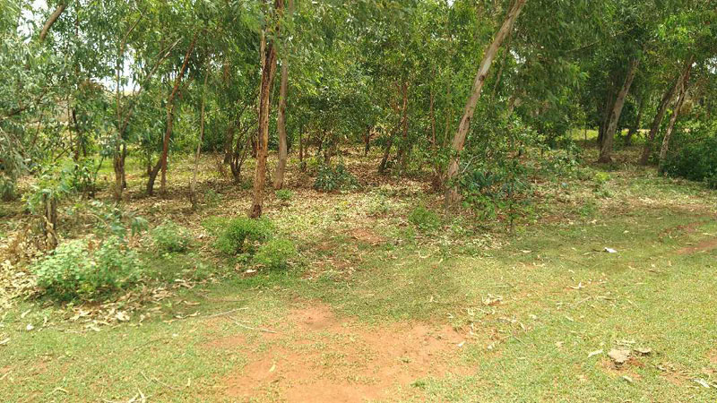 Residential plot sake Thanjavur in PWD Nagar
