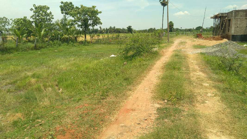DTCP APPROVED PLOT SALE THANJAVUR IN MARIAMMANKOVIL ROAD