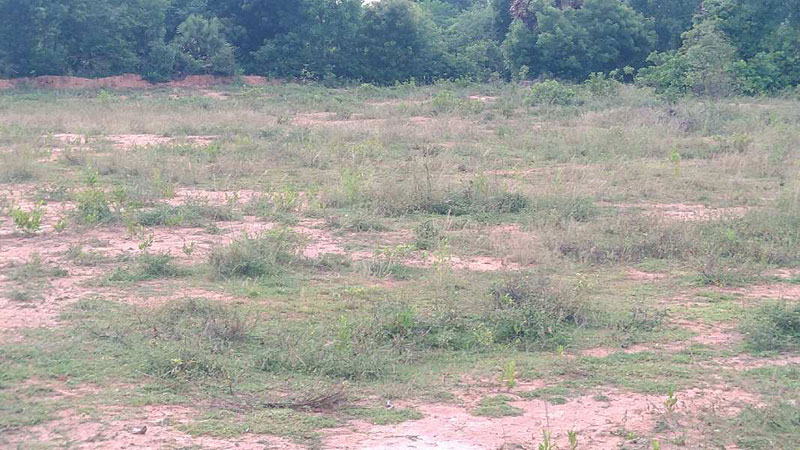 AGRICULTURE RED SOIL PROPERTY SALE THANJAVUR IN MARUGULAM