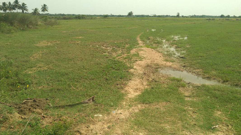 AGRICULTURE LAND SALE THANJAVUR IN NATHAM