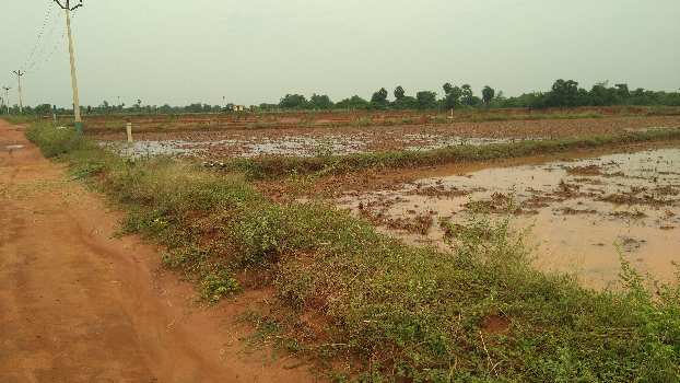 RED SOIL FREE SERVICE CURRENT WITH BOREWELL AGRICULTURE LAND SALE IN THANJAVUR