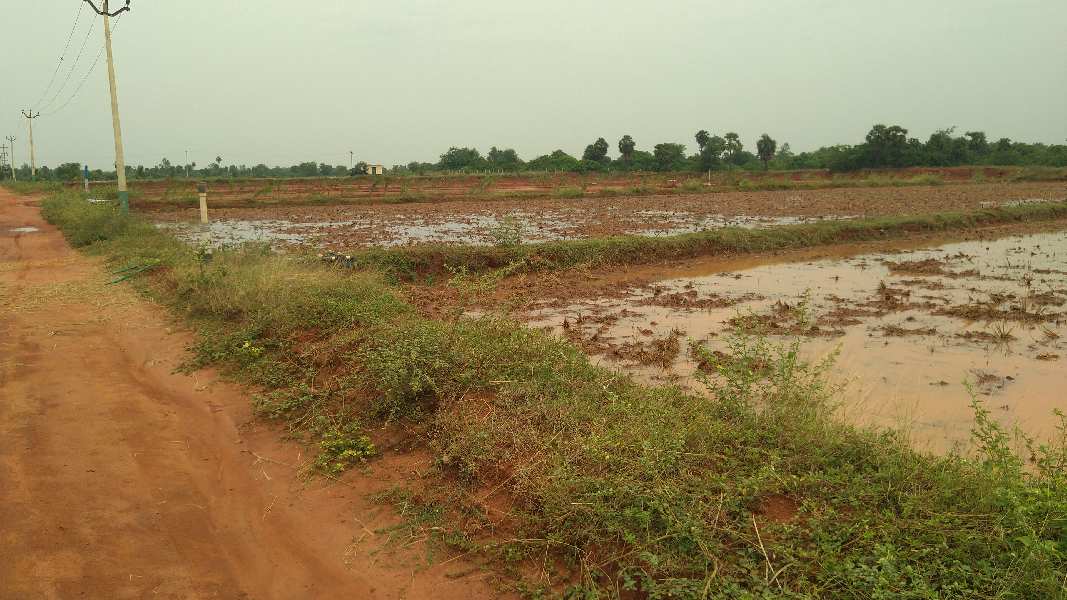 RED SOIL FREE SERVICE CURRENT WITH BOREWELL AGRICULTURE LAND SALE IN THANJAVUR