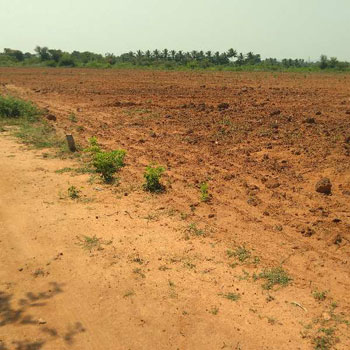 RED SOIL AGRICULTURE LAND SALE PUDUKOTTAI IN KEERANUR