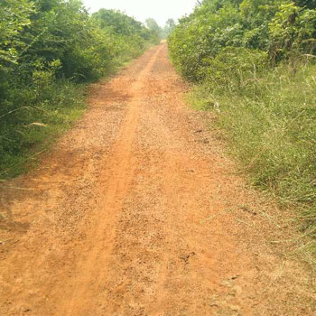 68-CENTS AGRICULTURE RED SOIL LAND SALE IN THANJAVUR