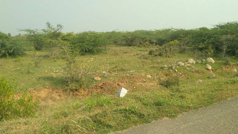 PER ACRE 8.50-LAKHS AGRICULTURE LAND SALE TRICHY IN SIRUGANUR