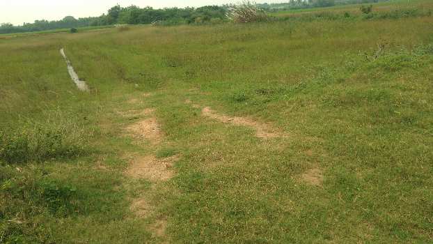 AGRICULTURE PROPERTY SALE IN THANJAVUR