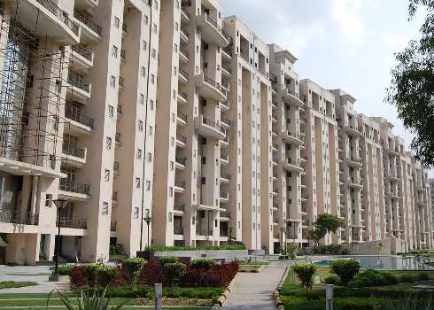 4 BHK Flats & Apartments for Sale in Swaran Nagri, Greater Noida (3050 Sq.ft.)