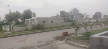 415 Sq. Yards Residential Plot for Sale in Sector 131, Noida