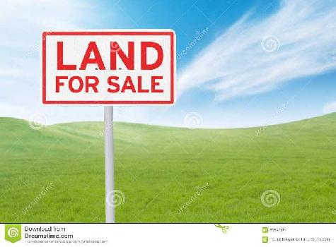 Residential Plot for Sale in Noida (239 Sq. Yards)