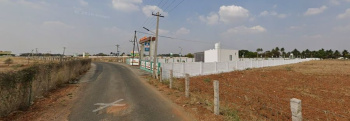 Property for sale in Pappampatti, Coimbatore