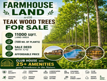 Farmhouse Land with Teak Wood Trees For Sale