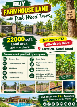 Buy Farm Land with Tissue culture Teak Wood Trees