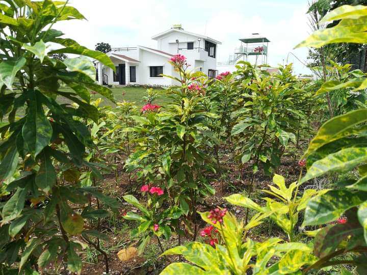 Luxurious Farms House Plots on Amravati Road