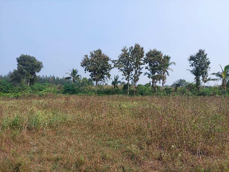 Industrial Land Near Silvassa  at Nani Tambadi