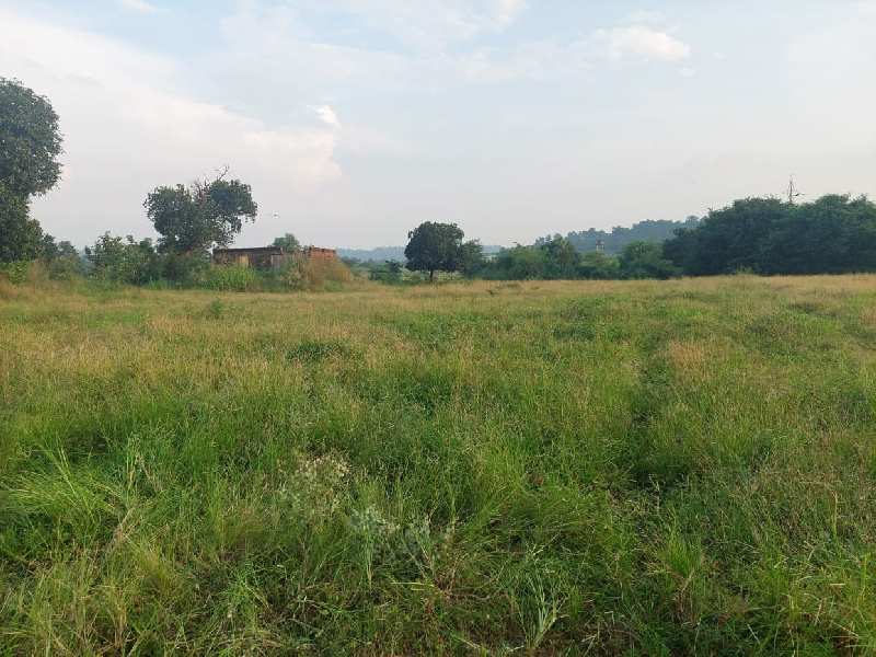 110 Ghunta Agricultural Land for Sale Near Silvassa