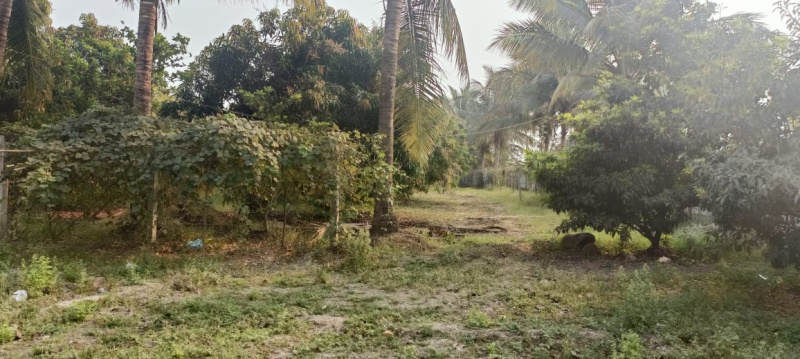 7.10 Acre well develop  Farm land for Sale near Sarigam