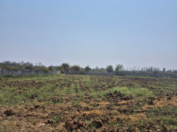 41 Ghunta Land for Sale Near Silvassa in Gujarat