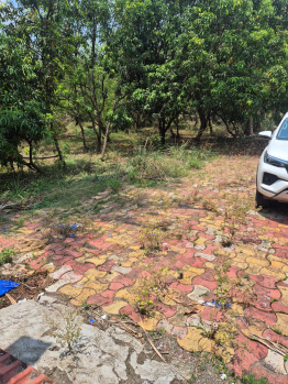 50 Acre Agricultural Land at Tambadi near Dadra Silvassa