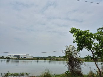 2 Acre River View Plot Sale Near Umbergoan