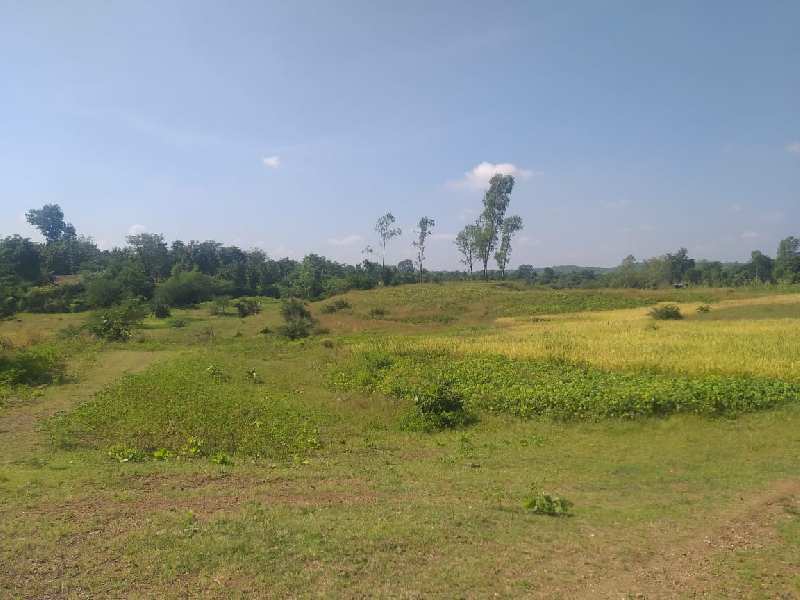40 Acre Industrial N.A Land for Sell Title Clear at Silvassa