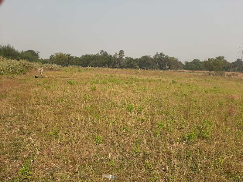 3 Acre Industrial N.A Land with Construction Permission at Velugam