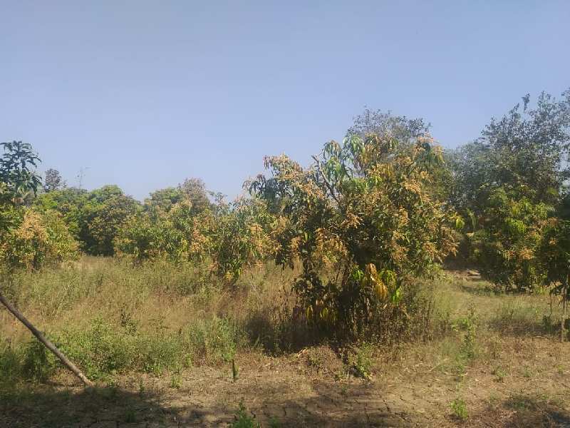 5 Acre Agricultural Land with Farm House River Touch