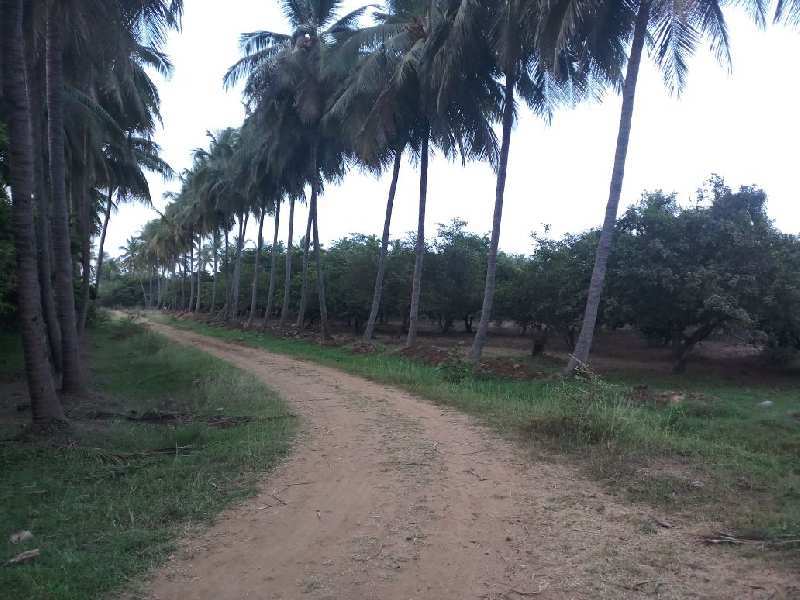 Industrial Land & Agricultural land Available At Umbergoan