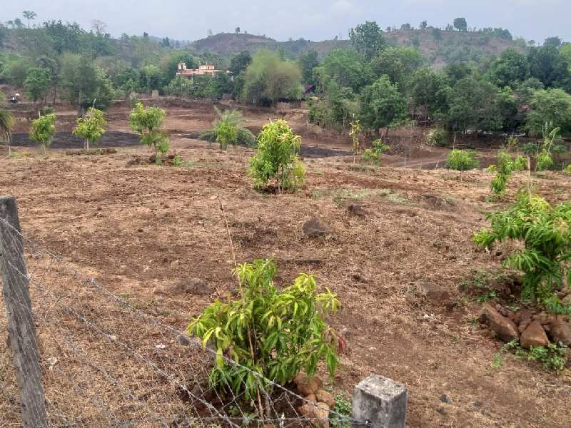 4 Acre title Clear Agricultural Land for Sell Near Silvassa