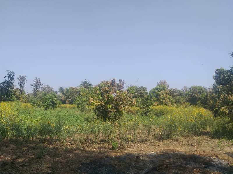 122 Ghunta Agricultural Farm Land Luhari Near Jhaveri Flexo