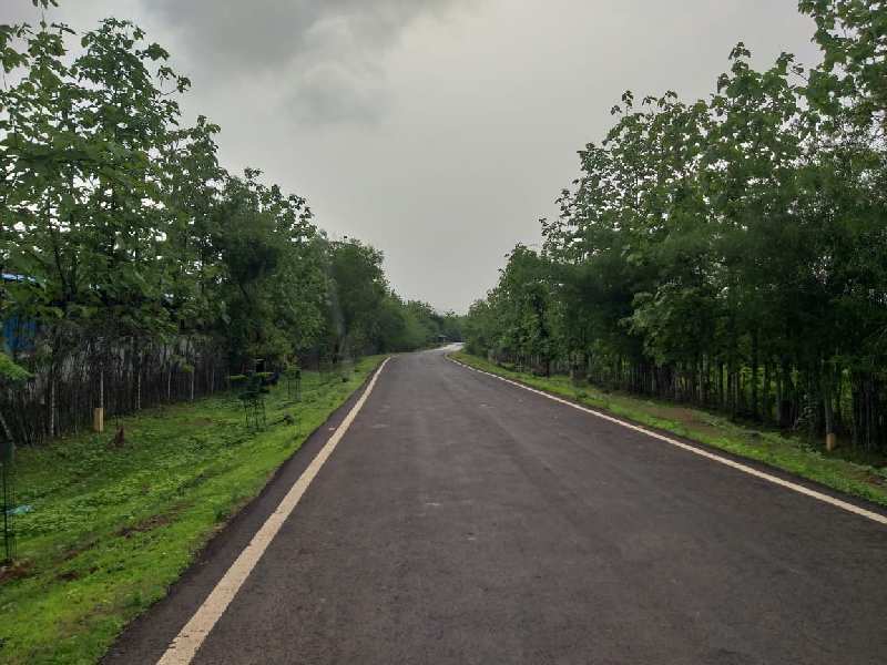 60 Acre Agricultural Land Title Clear at Nargol Umbergoan