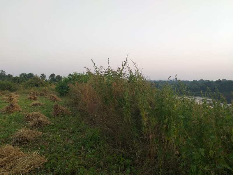 50 Ghunta Agricultural Land River View at Silvassa