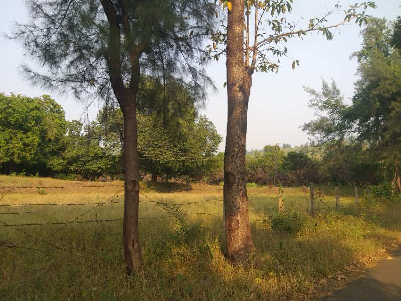 220 Acre Land for Sell at Silvassa River Touch