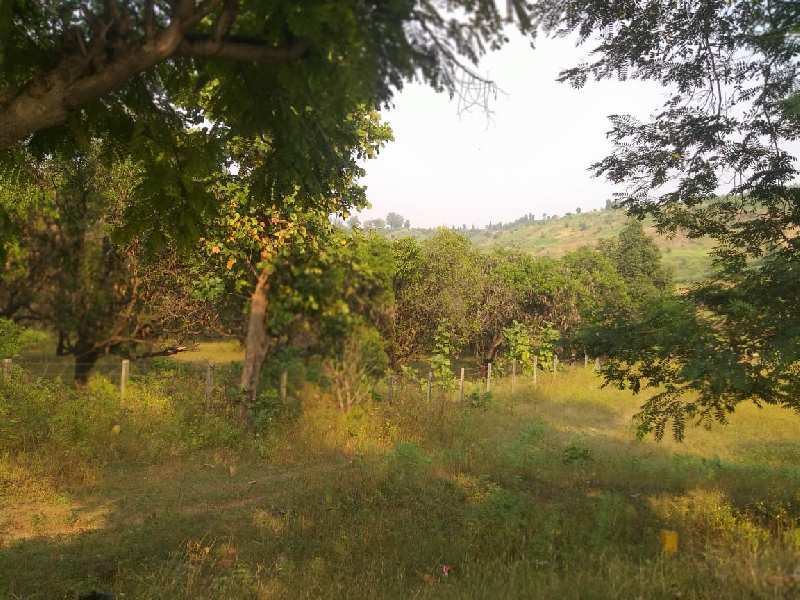 220 Acre Land for Sell at Silvassa River Touch